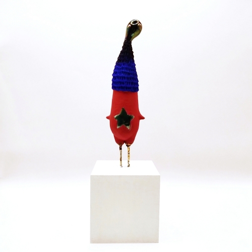 小池正典 お腹の星