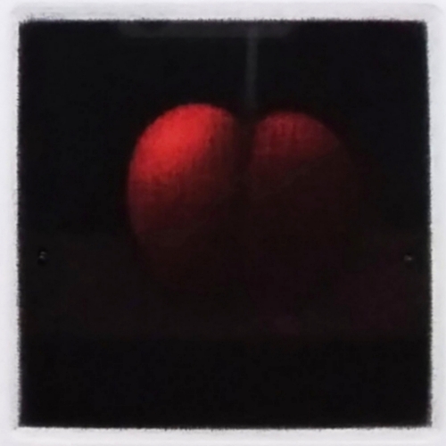 浜口陽三　カリフォルニア・チェリー