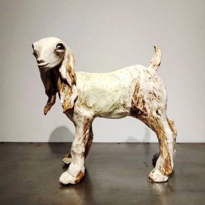 鈴木りんいち　baby goat