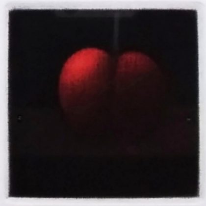 浜口陽三　カリフォルニア・チェリー